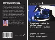 Buchcover von Etiquetado in vitro de células madre mesenquimales ovinas