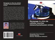 Buchcover von Marquage in vitro de cellules souches mésenchymateuses ovines