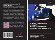 Buchcover von In vitro znakowanie owczych mezenchymalnych komórek macierzystych