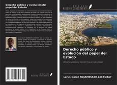 Buchcover von Derecho público y evolución del papel del Estado