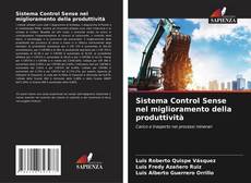 Portada del libro de Sistema Control Sense nel miglioramento della produttività