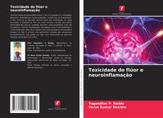 Buchcover von Toxicidade do flúor e neuroinflamação