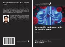 Buchcover von Evaluación no invasiva de la función renal