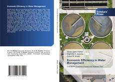Economic Efficiency in Water Management kitap kapağı