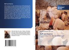 Couverture de Seff and Acervo