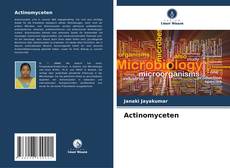 Borítókép a  Actinomyceten - hoz
