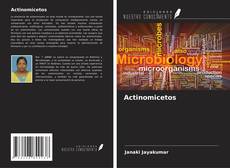 Buchcover von Actinomicetos