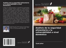 Buchcover von Análisis de la seguridad alimentaria y la vulnerabilidad a nivel doméstico