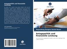 Bookcover of Anlagepolitik und finanzielle Leistung