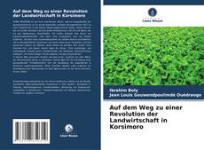 Borítókép a  Auf dem Weg zu einer Revolution der Landwirtschaft in Korsimoro - hoz