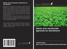 Buchcover von Hacia una revolución agrícola en Korsimoro