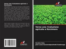 Borítókép a  Verso una rivoluzione agricola a Korsimoro - hoz
