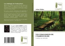 Les challenges de l'embouchure kitap kapağı