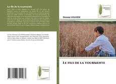 Borítókép a  Le fils de la tourmente - hoz
