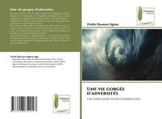 Une vie gorgée d'adversités的封面