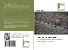 L'éclat de mon récit的封面