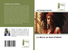 Copertina di La Belle au bois d’ébène