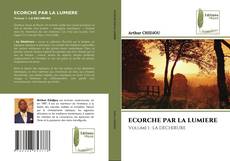 ECORCHE PAR LA LUMIERE的封面
