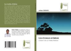 Les étoiles d'ébène的封面