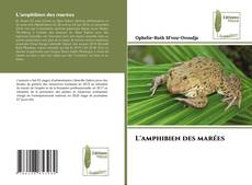 Copertina di L'amphibien des marées