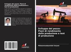 Bookcover of Sviluppo del pozzo: Piani di rendimento della produzione e test di produzione