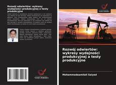 Rozwój odwiertów: wykresy wydajności produkcyjnej a testy produkcyjne的封面