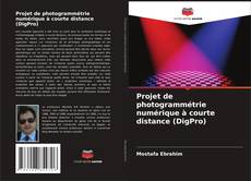 Buchcover von Projet de photogrammétrie numérique à courte distance (DigPro)