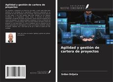 Buchcover von Agilidad y gestión de cartera de proyectos