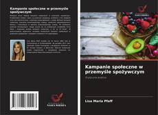 Bookcover of Kampanie społeczne w przemyśle spożywczym