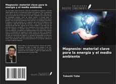 Buchcover von Magnesio: material clave para la energía y el medio ambiente