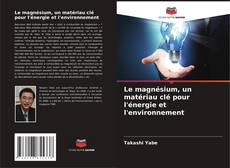 Buchcover von Le magnésium, un matériau clé pour l'énergie et l'environnement