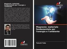 Copertina di Magnesio: materiale fondamentale per l'energia e l'ambiente
