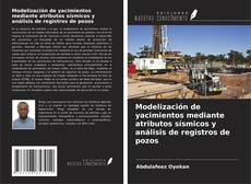 Buchcover von Modelización de yacimientos mediante atributos sísmicos y análisis de registros de pozos