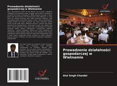 Prowadzenie działalności gospodarczej w Wietnamie kitap kapağı