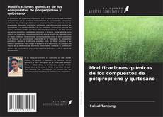 Copertina di Modificaciones químicas de los compuestos de polipropileno y quitosano