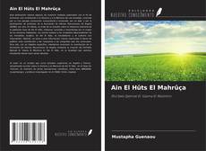 Ain El Hûts El Mahrûça kitap kapağı
