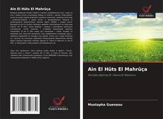 Ain El Hûts El Mahrûça的封面