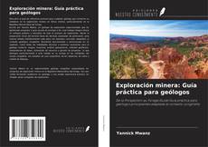 Exploración minera: Guía práctica para geólogos kitap kapağı