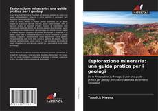 Buchcover von Esplorazione mineraria: una guida pratica per i geologi