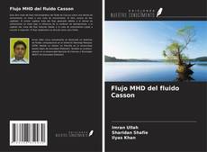 Flujo MHD del fluido Casson kitap kapağı