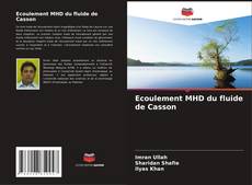 Copertina di Ecoulement MHD du fluide de Casson