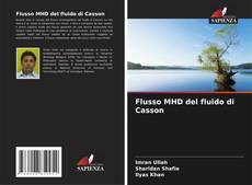 Обложка Flusso MHD del fluido di Casson