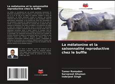 Borítókép a  La mélatonine et la saisonnalité reproductive chez le buffle - hoz