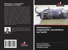 Bookcover of Melatonina e stagionalità riproduttiva nei bufali