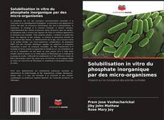 Copertina di Solubilisation in vitro du phosphate inorganique par des micro-organismes