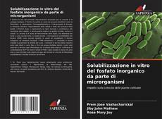 Обложка Solubilizzazione in vitro del fosfato inorganico da parte di microrganismi