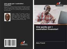 Обложка Una guida per i controllori finanziari