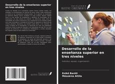 Buchcover von Desarrollo de la enseñanza superior en tres niveles