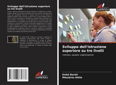 Sviluppo dell'istruzione superiore su tre livelli的封面