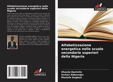 Alfabetizzazione energetica nelle scuole secondarie superiori della Nigeria的封面